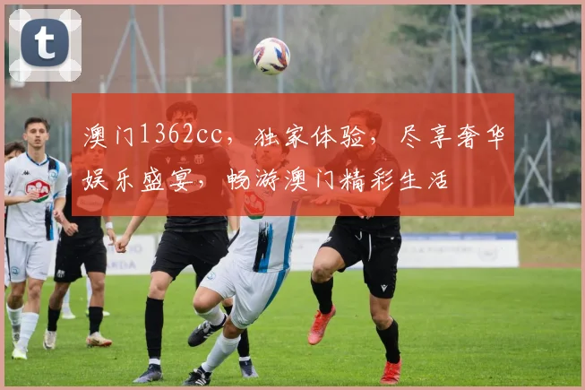 澳门1362cc，独家体验，尽享奢华娱乐盛宴，畅游澳门精彩生活