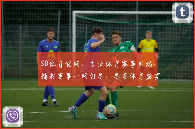 SB体育官网，专业体育赛事直播，精彩赛事一网打尽，尽享体育盛宴，不容错过