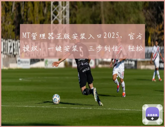 MT管理器正版安装入口2025，官方授权，一键安装，三步到位，轻松体验